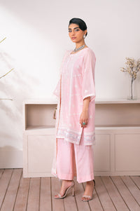 EMBROIDERED SUIT