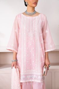 EMBROIDERED SUIT