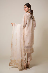 EMBROIDERED ORGANZA STITCHED 3 PIECE SUIT
