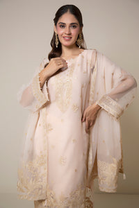EMBROIDERED ORGANZA STITCHED 3 PIECE SUIT