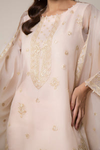 EMBROIDERED ORGANZA STITCHED 3 PIECE SUIT