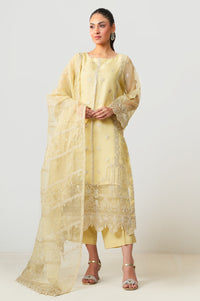 UNSTITCHED EMBROIDERED SUIT