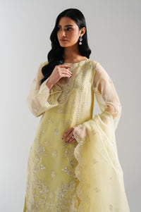 UNSTITCHED EMBROIDERED SUIT