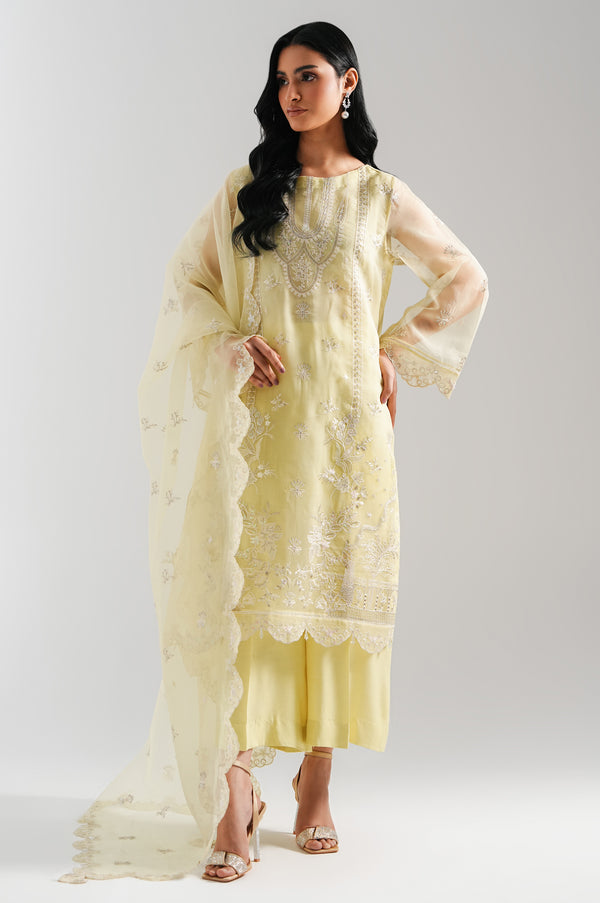 3 Piece Embroidered Organza Suit