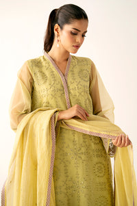 Unstitched 3 Piece Embroidered Organza Suit
