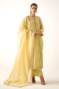 Unstitched 3 Piece Embroidered Organza Suit
