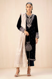 EMBROIDERED VELVET SUIT