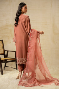 UNSTITCHED EMBROIDERED VELVET SUIT