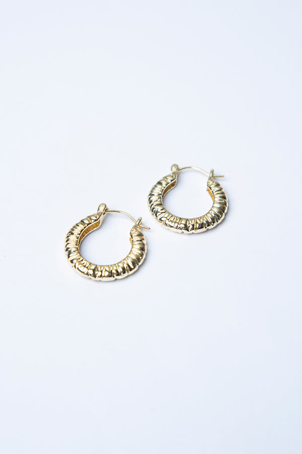 Golden Textured Loop Earrings