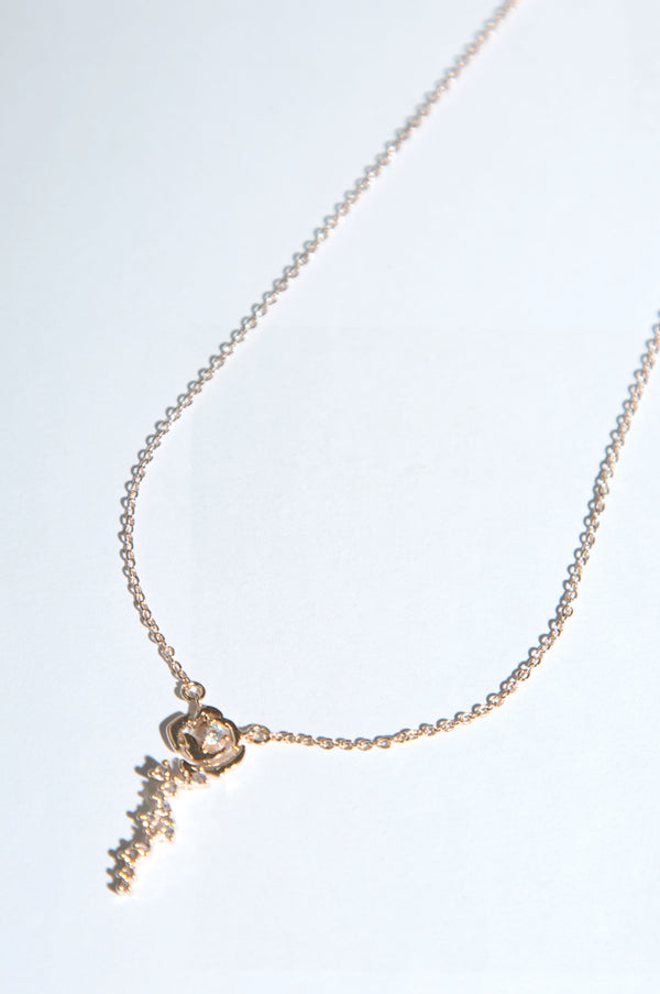 Rose Gold Locket with Chain