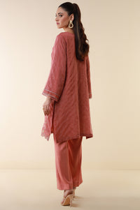 Stitched 2 Piece Embroidered Zari Line Organza Suit