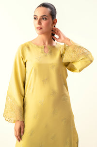 Stitched 2 Piece Embroidered Cotton Silk Suit