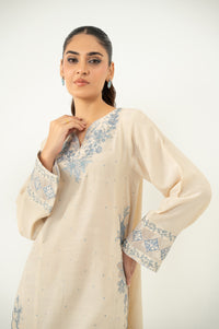 Stitched 2 Piece Embroidered Raw Silk Suit