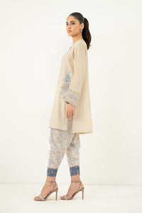Stitched 2 Piece Embroidered Raw Silk Suit