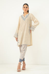 Stitched 2 Piece Embroidered Raw Silk Suit