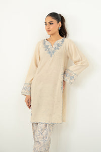 Stitched 2 Piece Embroidered Raw Silk Suit