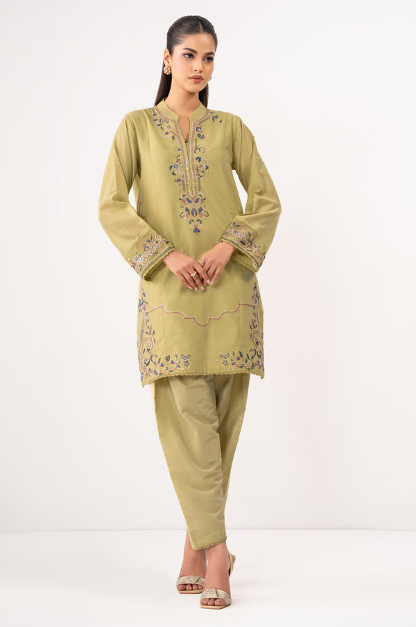 Stitched 2 Piece Embroidered Cotton Net Suit