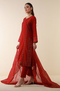 Stitched 3 Piece Embroidered Cotton Net Suit