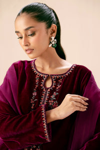 Stitched 3 Piece Embroidered Velvet Suit - Scarlet Pink