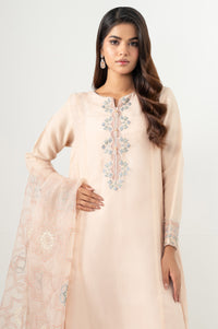 EMBROIDERED SUIT