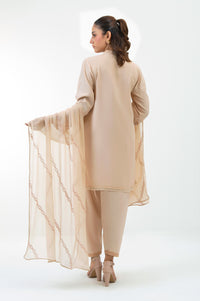 EMBROIDERED SUIT
