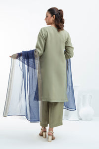 STITCHED EMBROIDERED ORGANZA  SUIT