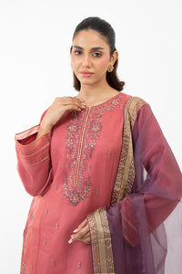 STITCHED EMBROIDERED ORGANZA SUIT