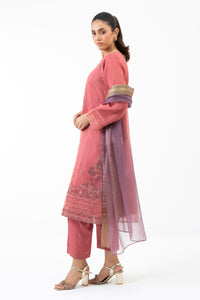 STITCHED EMBROIDERED ORGANZA SUIT