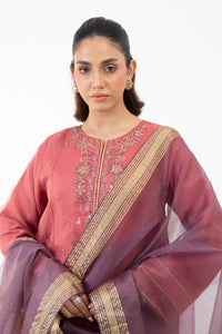 STITCHED EMBROIDERED ORGANZA SUIT