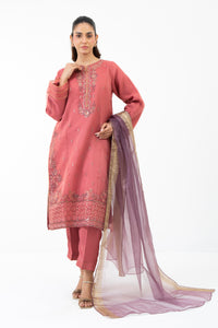 STITCHED EMBROIDERED ORGANZA SUIT