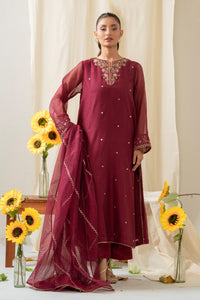 STITCHED EMBROIDERED KHADDI NET SUIT