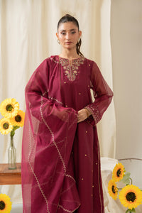STITCHED EMBROIDERED KHADDI NET SUIT