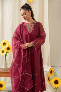STITCHED EMBROIDERED KHADDI NET SUIT