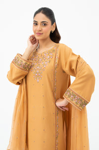 STITCHED EMBROIDERED RAW SILK SUIT