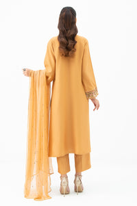 STITCHED EMBROIDERED RAW SILK SUIT