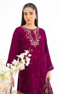 EMBROIDERED VELVET SUIT