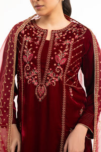 EMBROIDERED VELVET SUIT