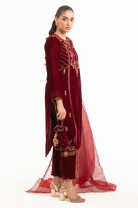 EMBROIDERED VELVET SUIT