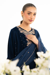 EMBROIDERED VELVET SUIT