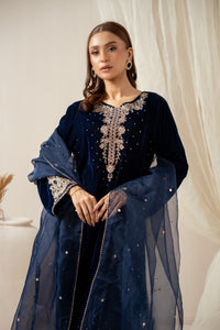 EMBROIDERED VELVET SUIT
