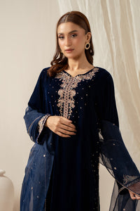 EMBROIDERED VELVET SUIT
