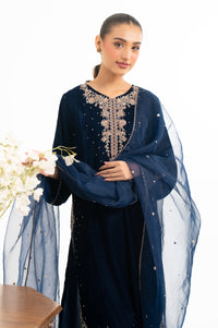 EMBROIDERED VELVET SUIT