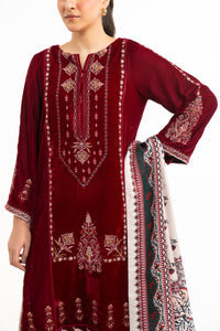 EMBROIDERED VELVET SUIT