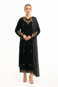 EMBROIDERED VELVET SUIT