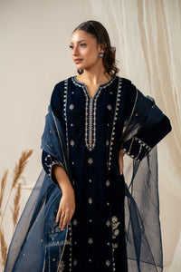 EMBROIDERED VELVET SUIT