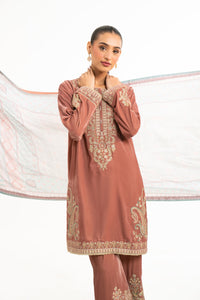 EMBROIDERED VELVET SUIT