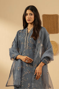 EMBROIDERED ORGANZA STITCHED 3 PIECE SUIT