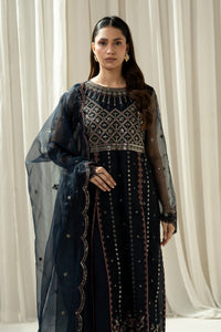 EMBROIDERED ORGANZA STITCHED 3 PIECE SUIT