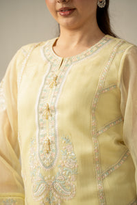 EMBROIDERED KHADDI NET STITCHED 3 PIECE SUIT