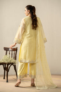 EMBROIDERED KHADDI NET STITCHED 3 PIECE SUIT